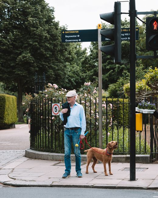 A man wearing a grey flat cap, light blue shirt, and blue jeans stands on the pavement near a black metal fence with pink flowering bushes behind it, holding a red leash attached to a brown dog. The d